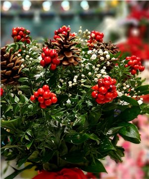 Paşabahçe Vazoda Kozalaklı Kokina Aranjmanı