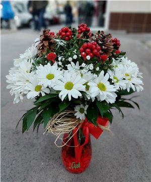 Kokina ve Papatya Aranjmanı