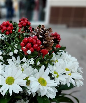 Kokina ve Papatya Aranjmanı